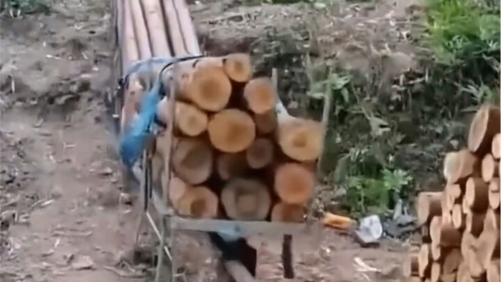 In the end, it's the wisdom of the working people that truly wins me over.