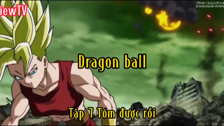 Dragon ball_Tập 6 Tóm được rồi