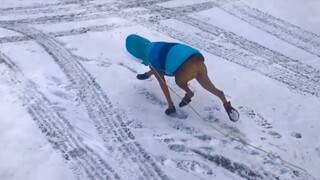 "Tolong deh! Anjing yang berjalan seperti ini sangat keren, oke?"