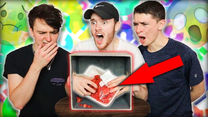 Whats In The Box Challenge! RAW MEAT, CROCODILE, DEAD FISH?