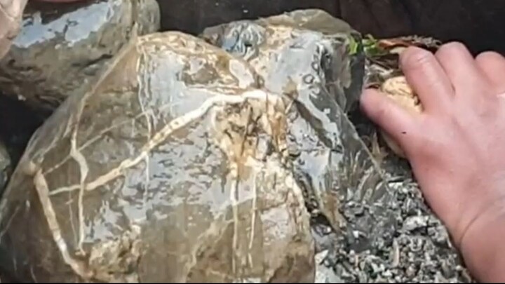 duwali fishing in Nepal |