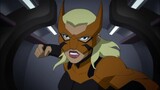 Tigress - All Fight & Abilities Scenes ( Young Justice S2-S3)
