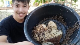 ตีผึ้งโพรงครั้งแรก!! เกือบตาบวม..