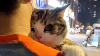 Report: It stole my object!!!