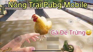 Nông Trại PUBG Mobile - Gà Đẻ Trứng & Những Lần Đại Chiến VIỆT NAM Vs VIỆT NAM | NhâmHNTV