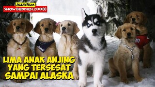 Petualangan Kelima Anak Anjing Yang Mencari jalan Pulang | ALur Cerita Film SNOW BUDDIES (2008)