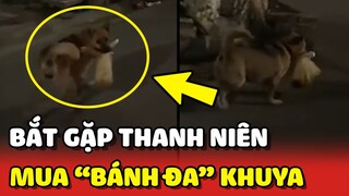 Đêm hôm bắt gặp thanh niên chó đi MUA BÁNH ĐA về ăn 😂 | Yêu Lu