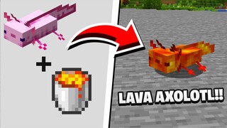 AKU BISA UPGRADE AXOLOTL DI MINECRAFT MENJADI KEREN!! - PART 2