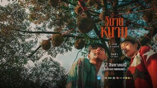 วิมานหนาม(2024)เต็มเรื่อง