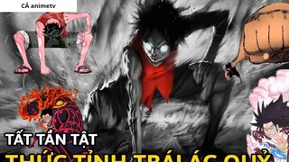 Tất Tần Tật về Thức Tỉnh trái ác quỷ trong One Piece __ Giả Thuyết __  1