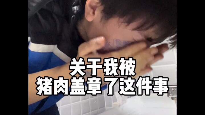 关于我被猪肉盖章了这件事