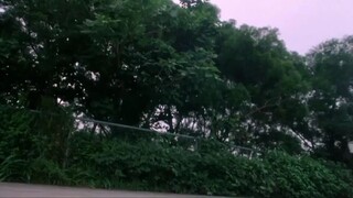 Thử Đảm Uy Long ( 1995 )