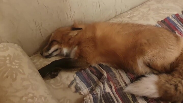 She’s not going to school or work—let her sleep!