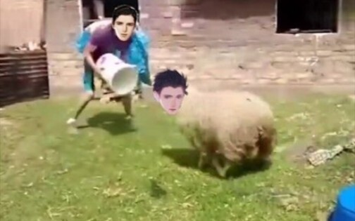 ลี่ซู่ซู่ปะทะเชาฉวิน