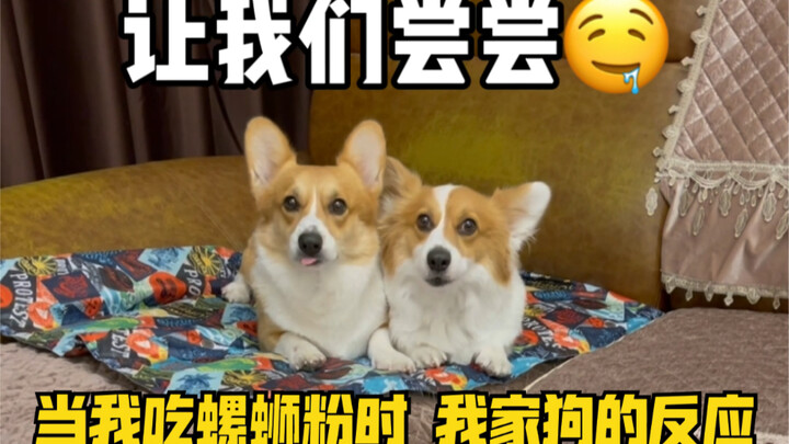 Apakah mie siput benar-benar berbau tidak sedap?