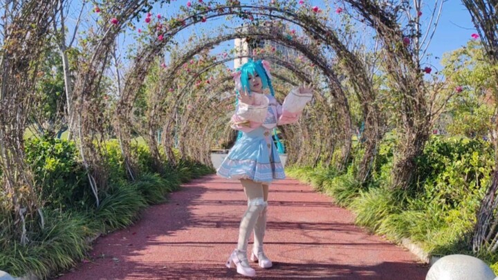 神的随波逐流宅舞