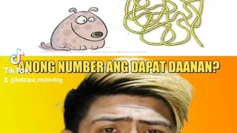 Saang "NUMBER" ba dapat dumaan ang "ASO"?