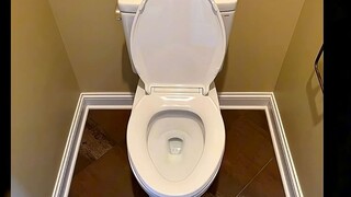 The World's Toughest Toilet