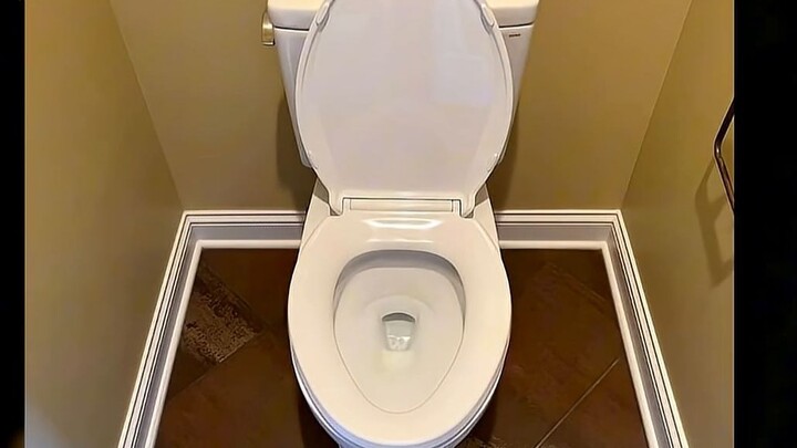 Chiếc bồn cầu vất vả nhất thế giới