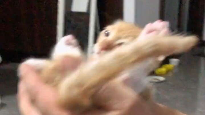 Don’t I know if I stink or not?