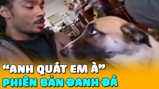 "ANH QUÁT EM À ?!?" Phiên Bản ĐANH ĐÁ | Biệt Đội 4 Chân