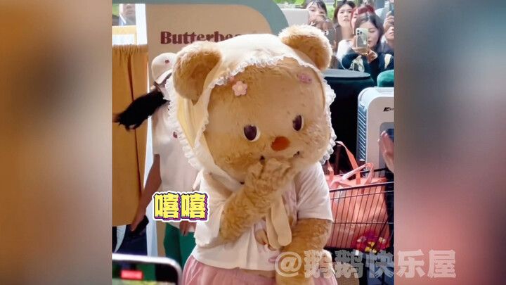 หมีบัตเตอร์โชวท้องน้อยๆ แล้วเอามือปิดหน้าเพราะเขิน น่ารักสุดๆ!