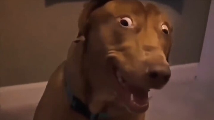 สารคดีขนาดใหญ่ “ใช้เงินเจ้านายให้บริการสินเชื่อแก่เจ้านาย” ออกอากาศต่อเนื่องเพื่อคุณ!