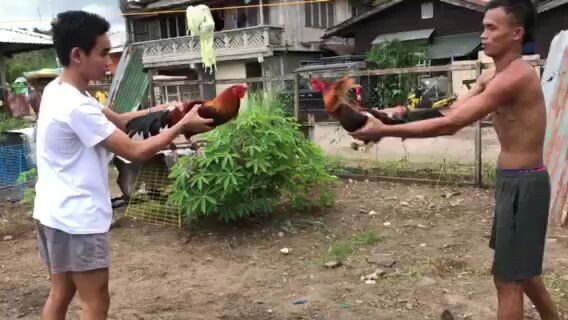 bakbakan Malala sarap sisig 😘