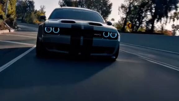 mustang