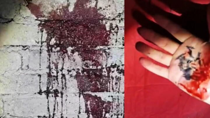 Outdoor Adventure: Little Dragon No. 2 Revisits the Factory to Challenge Sword-Flying Spirit! Dragon