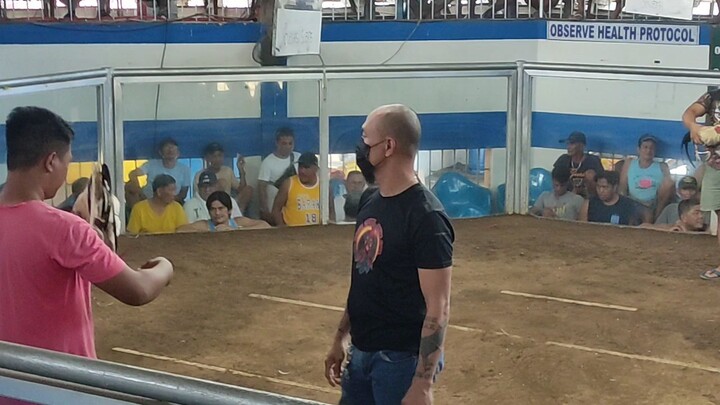 E2R2 White and Dark Side Pitcho Hunter 😎 More Fights in Channel