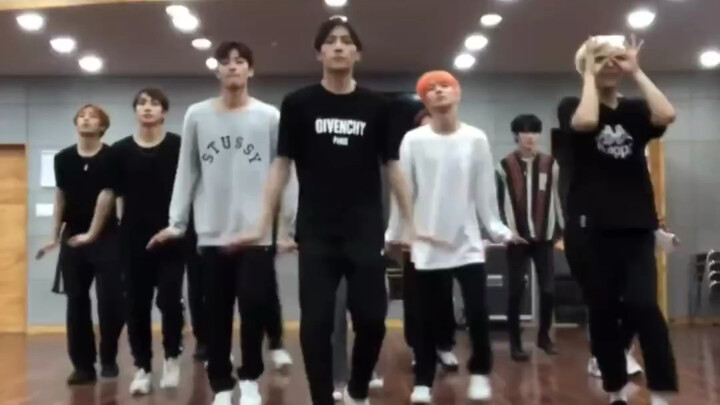 11个萌物翻跳咱们兔的cheerup 更萌了