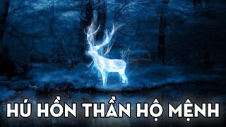 THẦN HỘ MỆNH - Hú Hồn Tất Tần Tật! | Ten Tickers Harry Potter Series