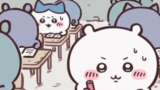 Baby, please pass on the answer quickly [Lao Dengka Wow]