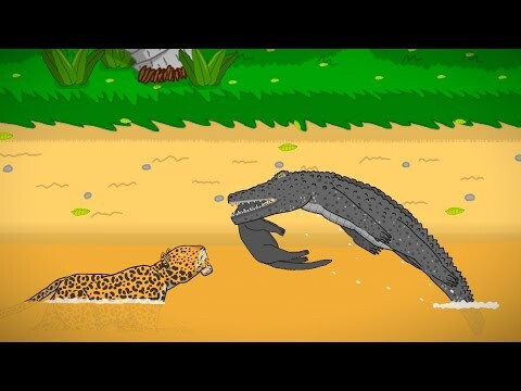 JAGUAR VS CROCODILE ANIMATION