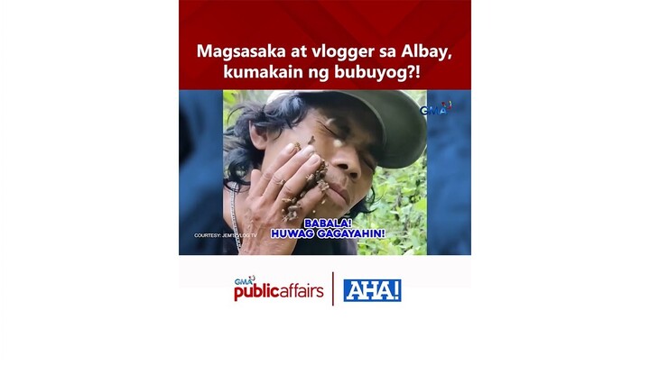 Magsasaka at vlogger sa Albay, kumakain ng bubuyog?! | AHA!