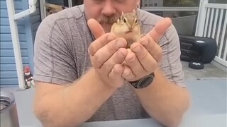 万物有灵，动物也懂得爱