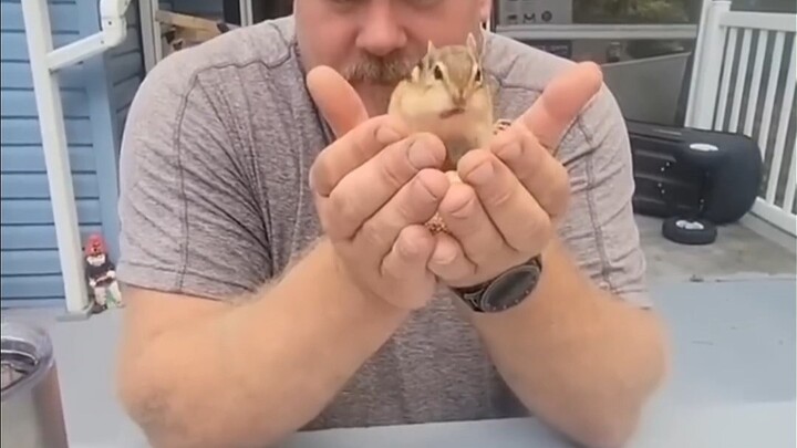 万物有灵，动物也懂得爱