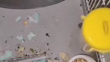 จริงหรือเปล่า?