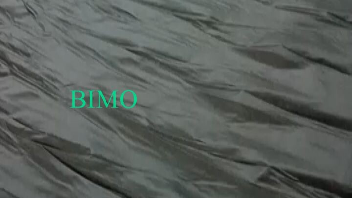 BIMO ( DEFECT )