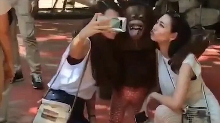 Làm gì cũng không dễ, trời nóng thế này mà dính đầy lông trên người