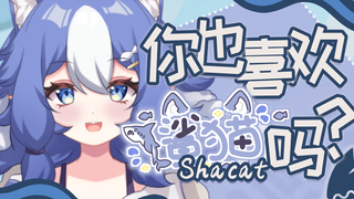 【免费Live2D模型】要不要一起当个鲨猫？不带脑子也能收获快乐的那种！
