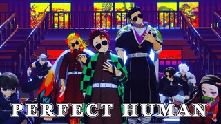 【鬼滅の刃MMD】PERFECT HUMAN 【Demon Slayer / Kimetsu no Yaiba MMD】