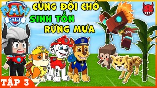 NHỮNG CHÚ CHÓ CỨU HỘ MINI WORLD | TẬP 3 | SINH TỒN CÙNG ĐỘI CHÓ TRONG RỪNG MƯA NHIỆT ĐỚI