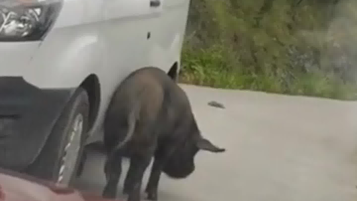 Wanna elbow me? No way!