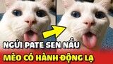 Hoàng Thượng muốn CHÔN LẤP món pate do Sen làm sau khi NGỬI qua 😂 | Yêu Lu