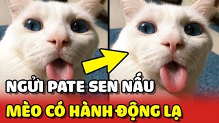 Hoàng Thượng muốn CHÔN LẤP món pate do Sen làm sau khi NGỬI qua 😂 | Yêu Lu