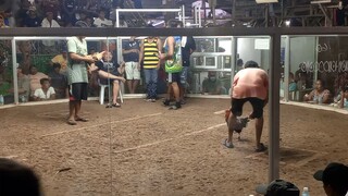 7 mo's.red lemon sweater