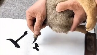 ما هذه شعيرات الماعز أو الذئب، أنا هنا أستخدم شعيرات الكلاب الأصلية، الكتابة بها تتمتع بالحيوية حقًا