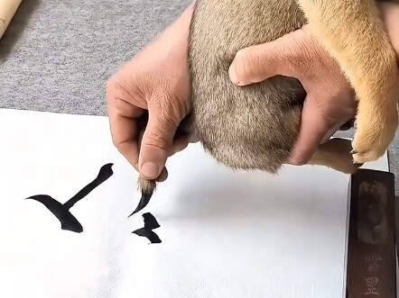 ما هذه شعيرات الماعز أو الذئب، أنا هنا أستخدم شعيرات الكلاب الأصلية، الكتابة بها تتمتع بالحيوية حقًا